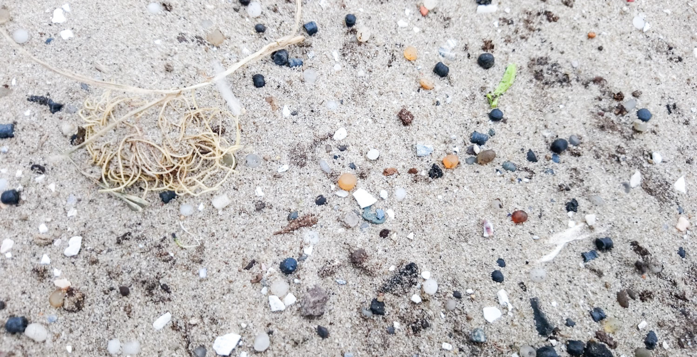 Plastic vervuiling Nijmegen MVO Teamuitje